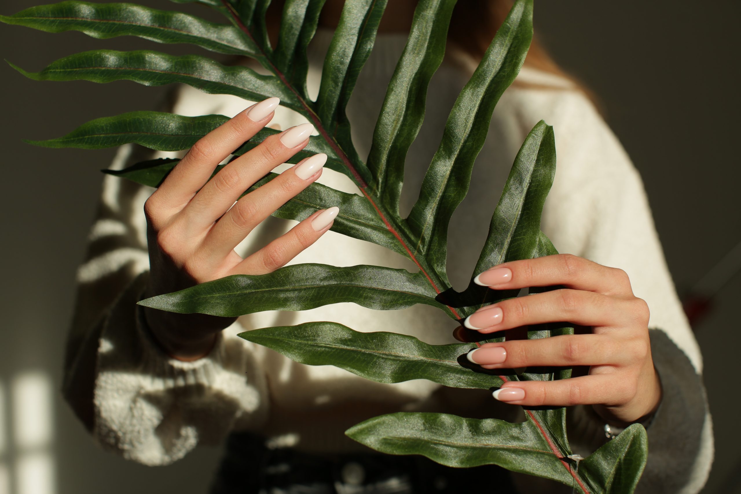 Beautiful women hands with delicate manicure holding green plant